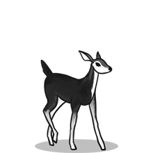 商业流程再造的{固定网站名称23}