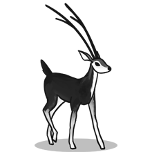 ddos压力测试平台